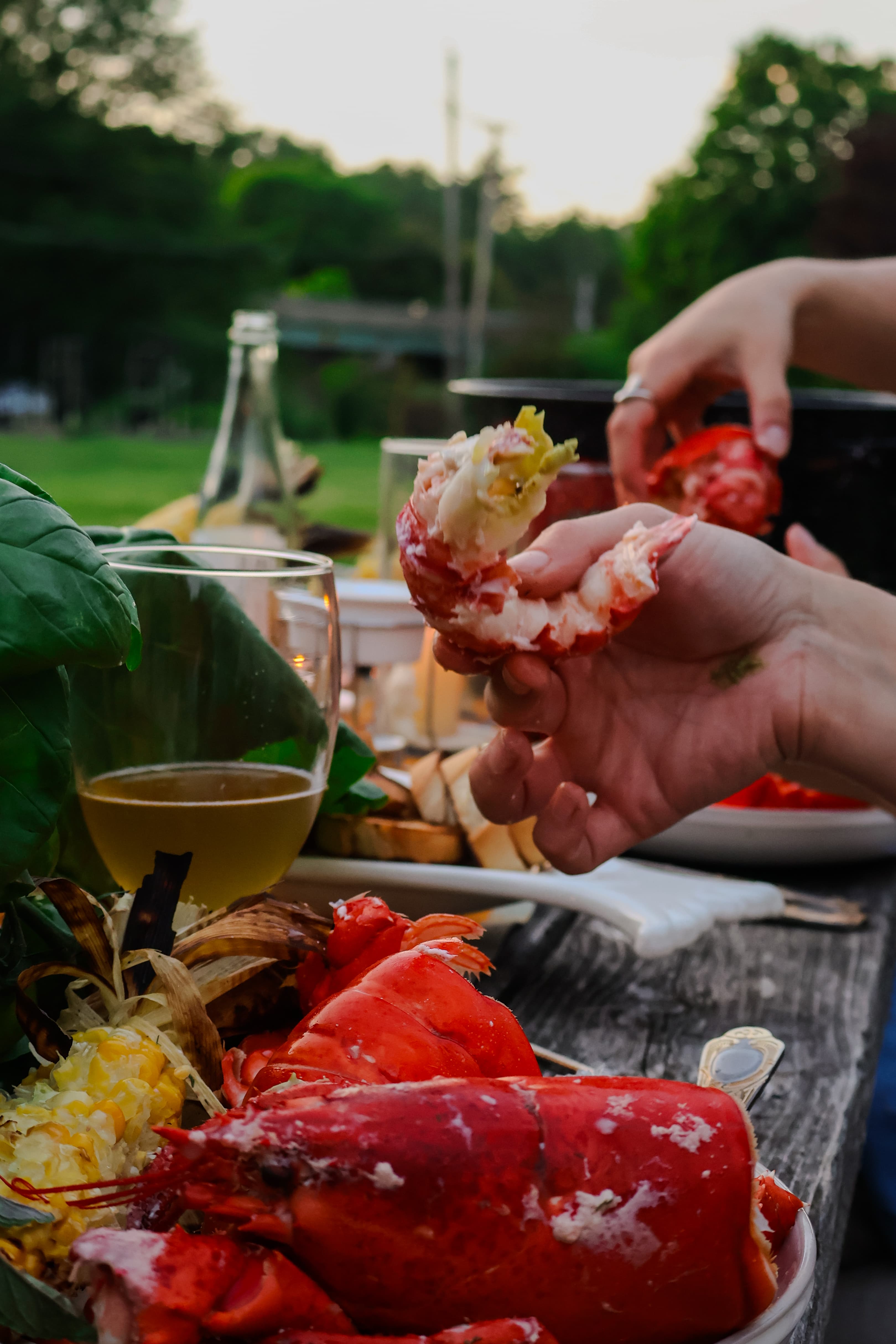 A close-up of a hand holding a lobster claw with a table set for a seafood feast in the background.