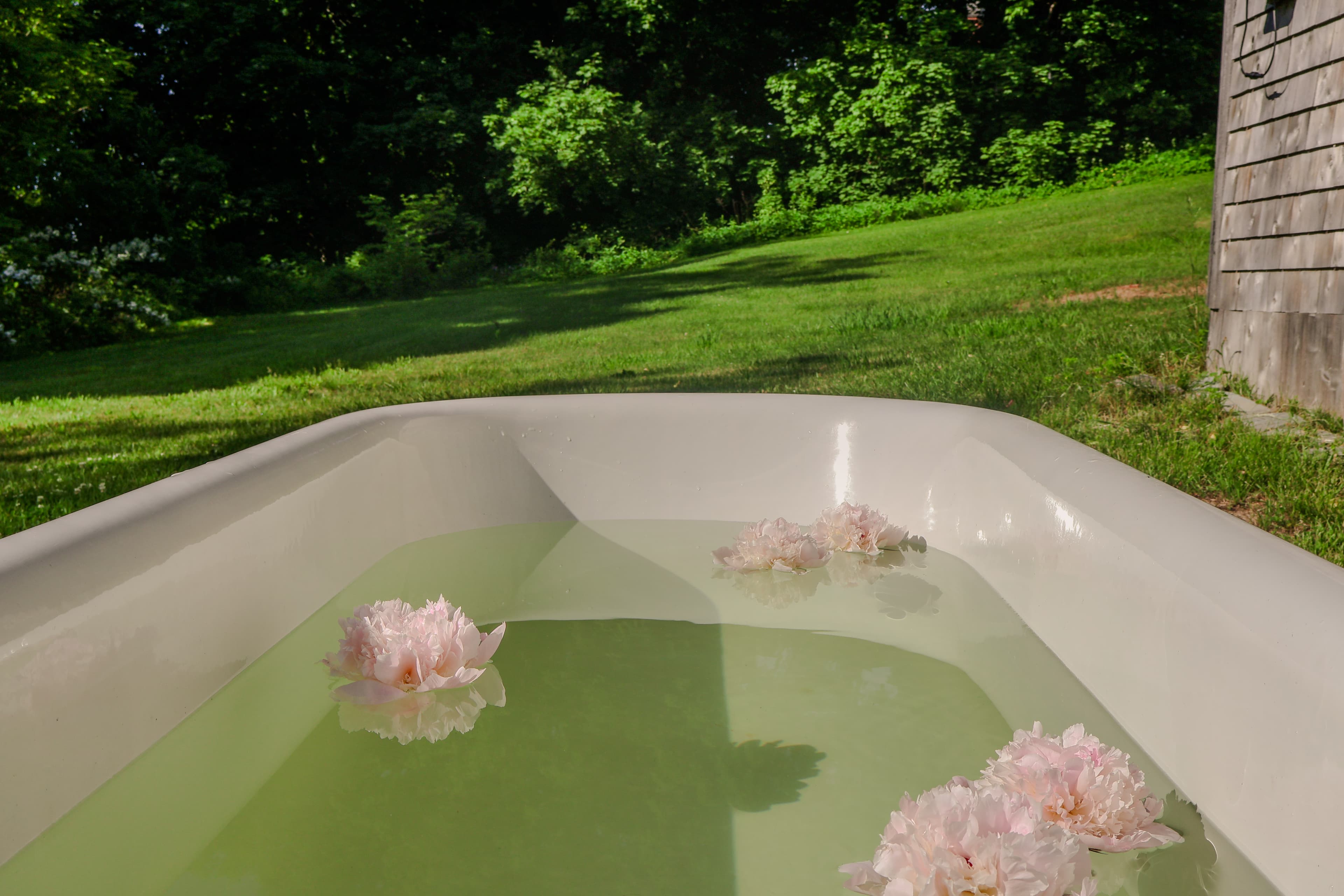 A vintage bathtub filled with green water and floating pink flowers, set against a lush green landscape.